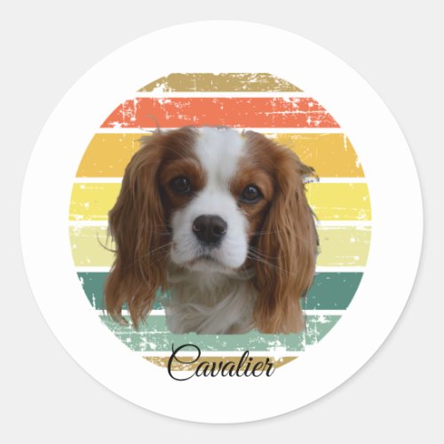 Retro 1980 Blenheim Cavalier King Charles Spaniel  Classic Round Sticker