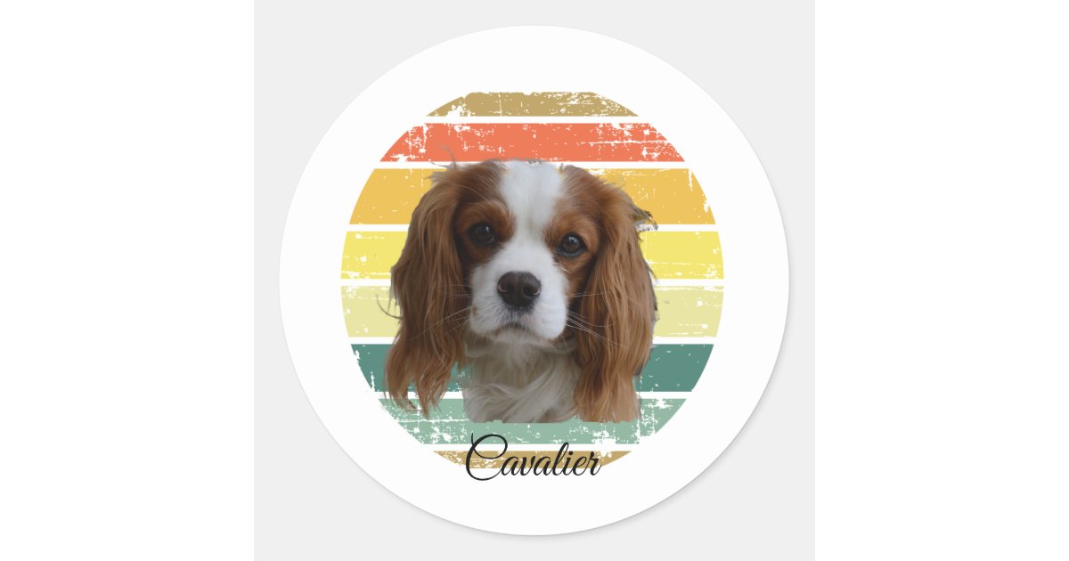 Retro 1980 Blenheim Cavalier King Charles Spaniel Classic Round Sticker