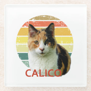 Retro 1980 Faded Sunset Calico Moggy Cat Art Glass Coaster