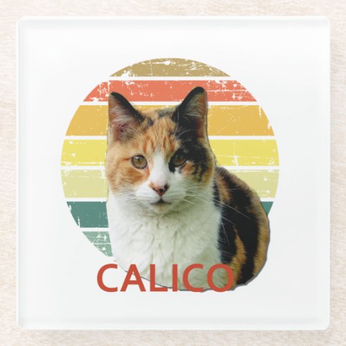 Retro 1980 Faded Sunset Calico Moggy Cat Art    Glass Coaster
