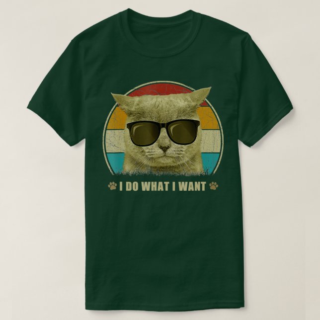 Retro 80s 90s I do what I want cat funny cat lover T-Shirt (Design Front)