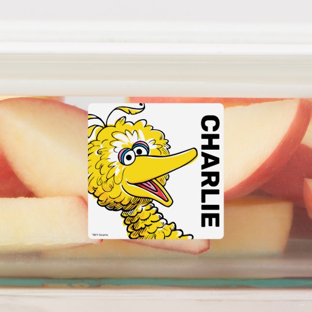 Retro Art Big Bird Labels (Affixed)