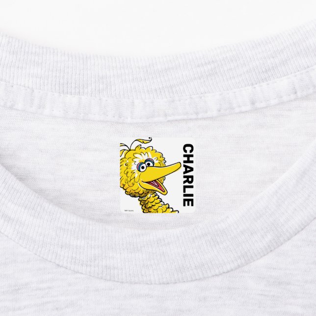 Retro Art Big Bird Labels (Affixed)