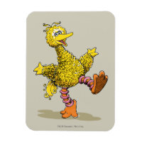 Retro Art Big Bird