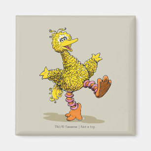 Retro Art Big Bird Magnet