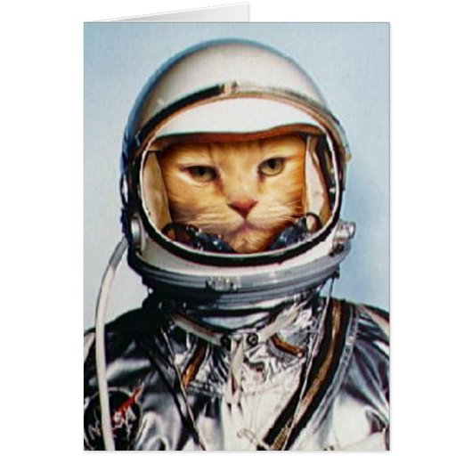 Retro Astronaut Cat Cards (Front)