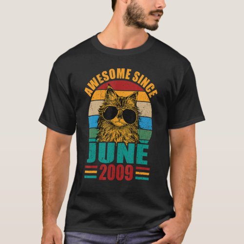 Retro Awesome Since June 2009 13th Birthday 13 Yea T_Shirt