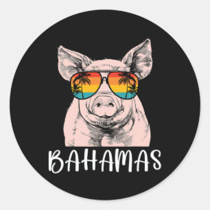 Retro Bahamas Pig Bahamas Souvenir Family Vacation Classic Round Sticker