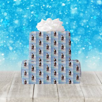 Retro Beach Santa Claus Photo in Saltwater