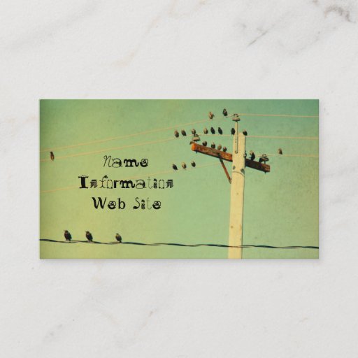 Customizable Retro Birds Business Card Template
