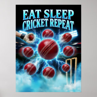 Retro Bootleg Cricket Graphic Poster