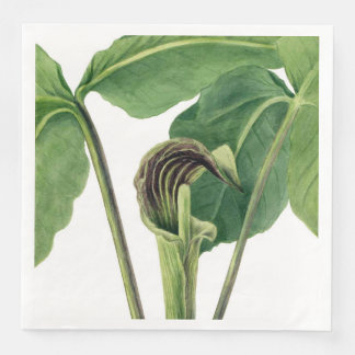RETRO BOTANICAL ILLUSTRATION: JACK IN THE PULPIT  PAPER DINNER NAPKINS