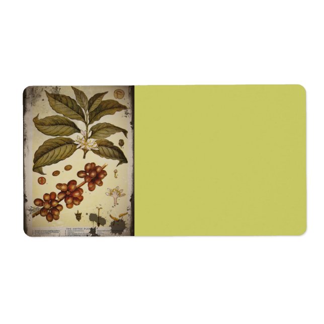 Retro Botanical Image Coffee Label (Front)