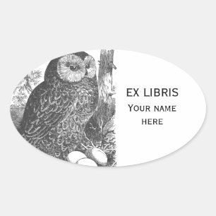 Retro brooding owl drawing bookplate