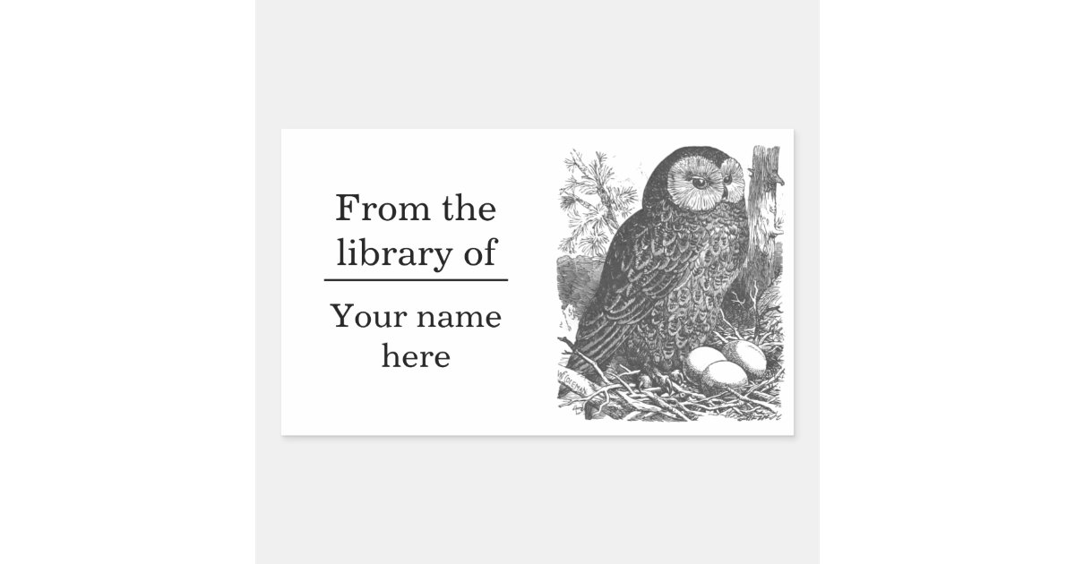 Retro brooding owl drawing bookplate | Zazzle