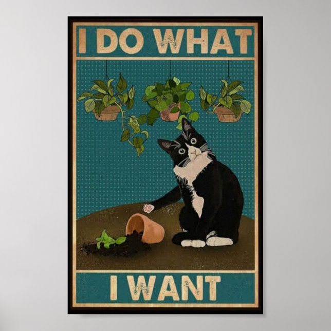 Retro cat poster (Front)