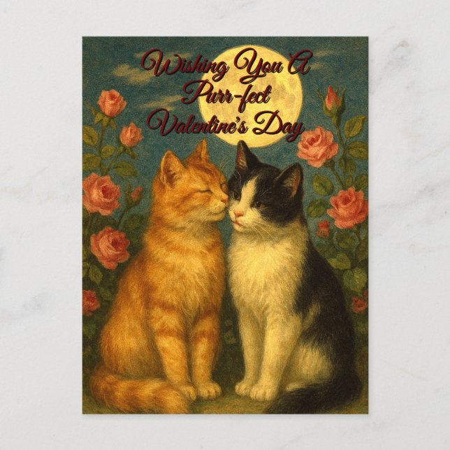 Retro Cats Valentine's Day Holiday Postcard (Front)