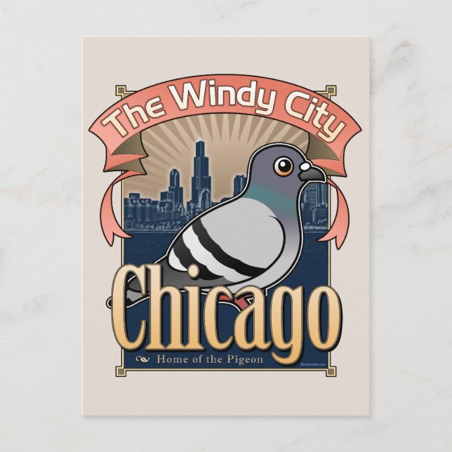 Retro Chicago Pigeon Postcard (Front)