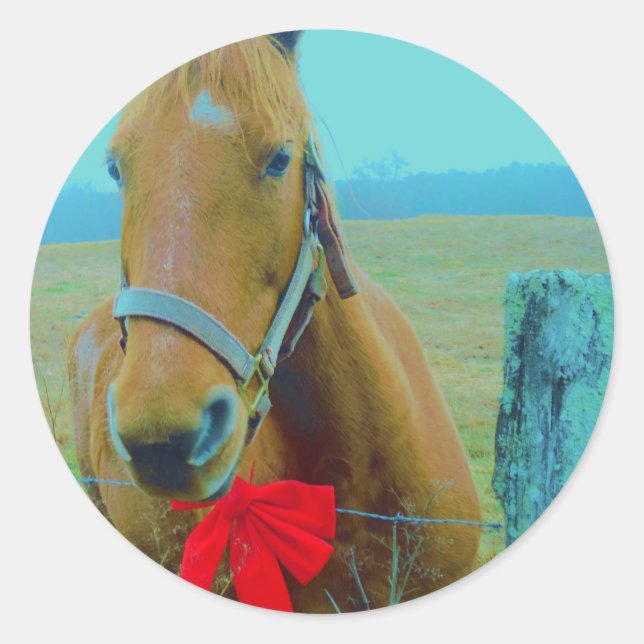 retro Christmas Horse Classic Round Sticker (Front)