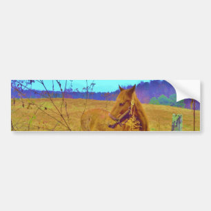 Retro Colored Horse Bumper Sticker