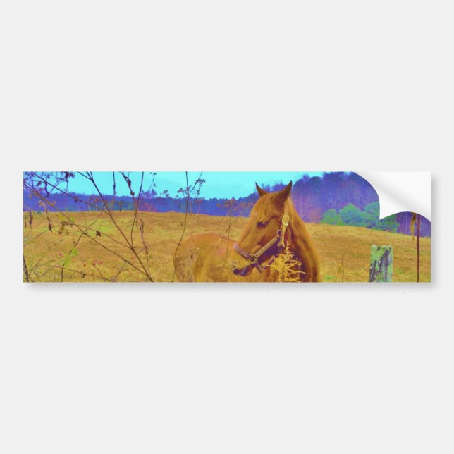 Retro Colored Horse Bumper Sticker (Front)