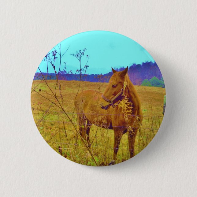 Retro Colored Horse Button (Front)