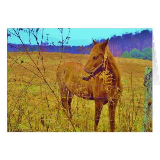 Retro Colored Horse Cards (Front Horizontal)