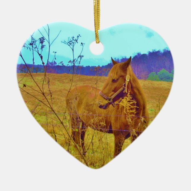 Retro Colored Horse Ceramic Ornament (Front)