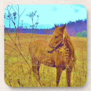 Retro Colored Horse Coaster