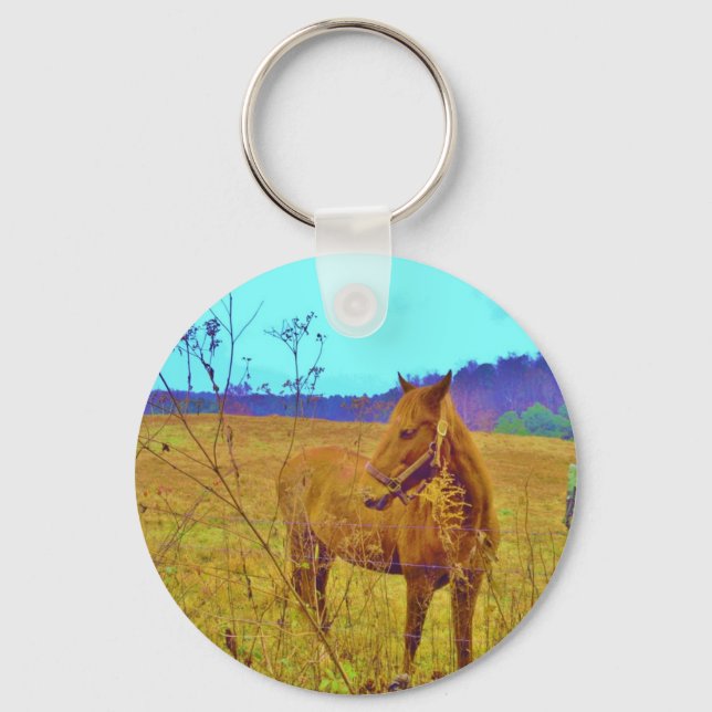 Retro Colored Horse Keychain (Front)
