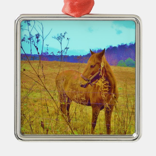 Retro Colored Horse Metal Ornament (Front)