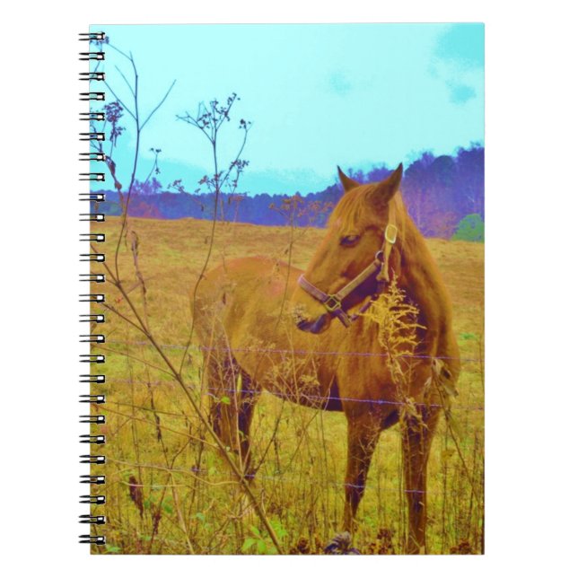 Retro Colored Horse Notebook (Front)