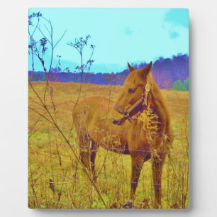 Retro Colored Horse Plaque