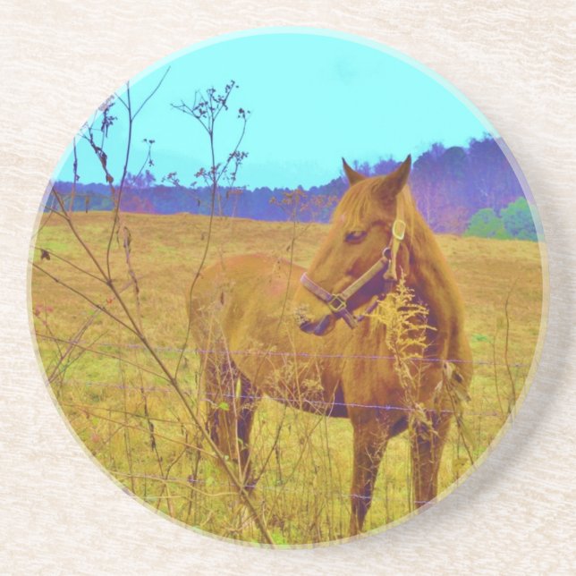Retro Colored Horse Sandstone Coaster (Front)