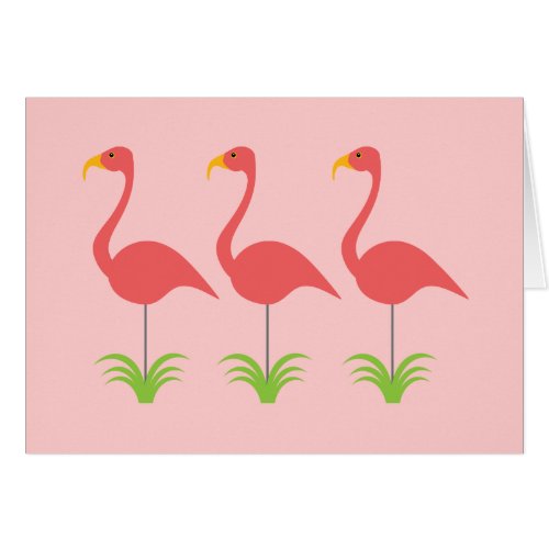 Retro Coral Pink Flamingos for Any Occasion