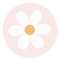 Retro daisy  light pink boho