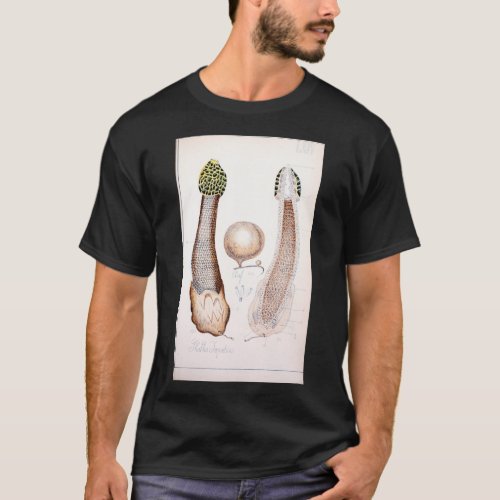 Retro edible and poisonous rude phallus mushroom T_Shirt