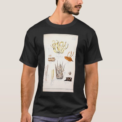 Retro edible and poisonous wavy mushrooms T_Shirt