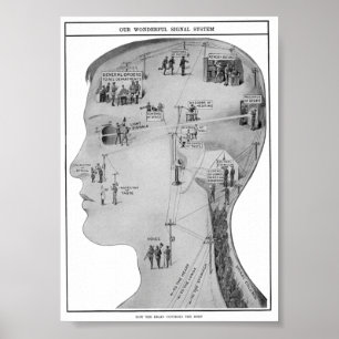 Retro educational poster