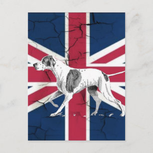 Retro English pointer dog British union jack flag Postcard