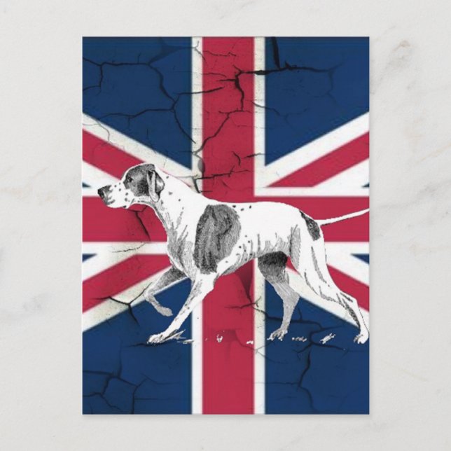 Retro English pointer dog British union jack flag Postcard (Front)