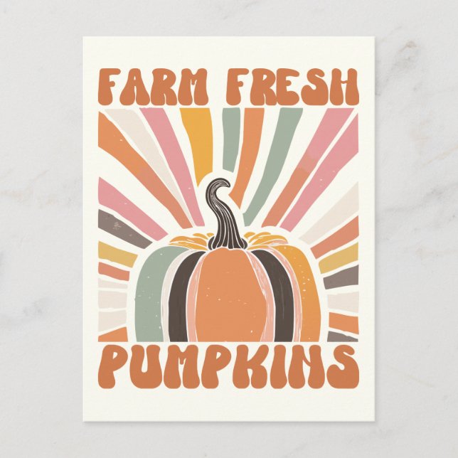 Retro Farm Fresh Pumpkins Postcard (Front)