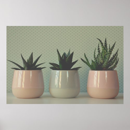 Retro Film Ceramic Succulents Trio  Poster