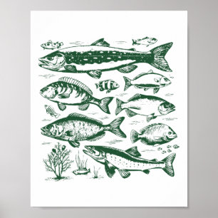 Retro Fish Species Biology Types Of Freshwater Fis Poster