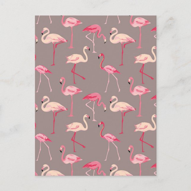 Retro Flamingos 2 Postcard (Front)