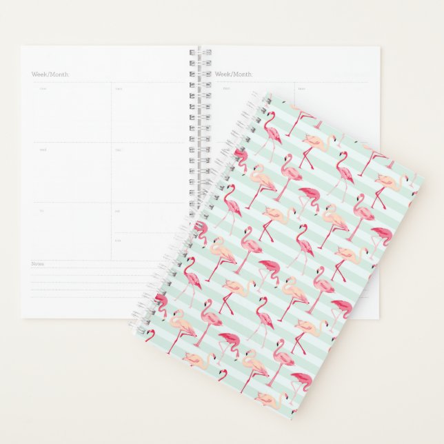 Retro Flamingos On Mint Stripes Planner (Display)