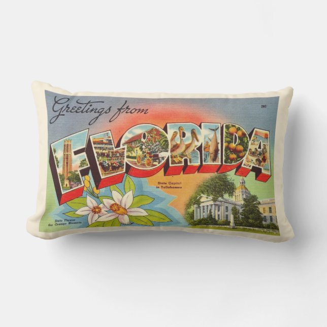 Retro Florida Postcard Greeting Throw Pillow (Front)