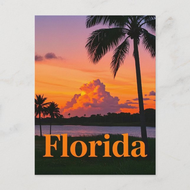 Retro Florida Sunset: A Vintage Paradise Postcard (Front)