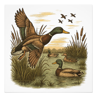Retro-Flying-Mallard-Duck-Hunting, Photo Print