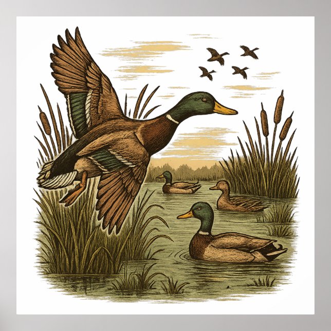 Retro-Flying-Mallard-Duck-Hunting,  Poster (Front)